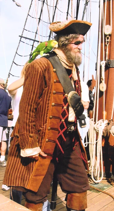 Captain Bart The Pirate