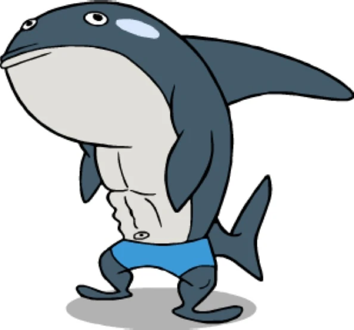 Don The Whale
