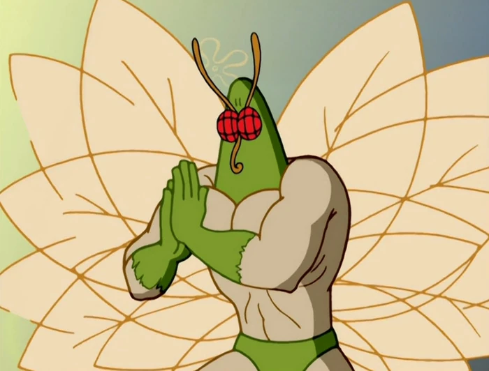 The Moth