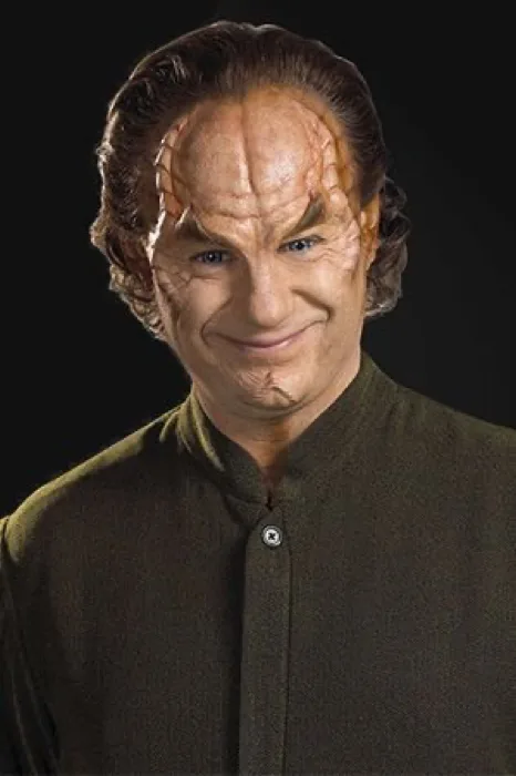 Phlox