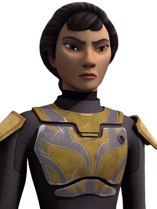 Ursa Wren