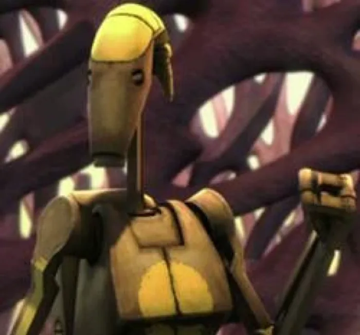 224