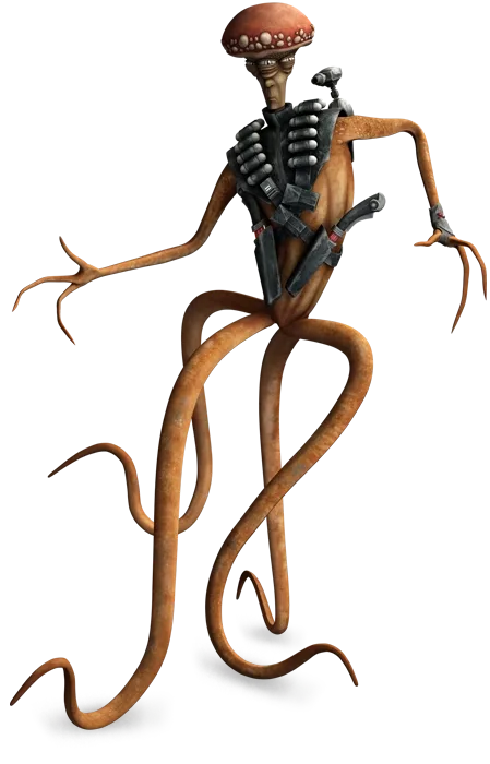 Derrown