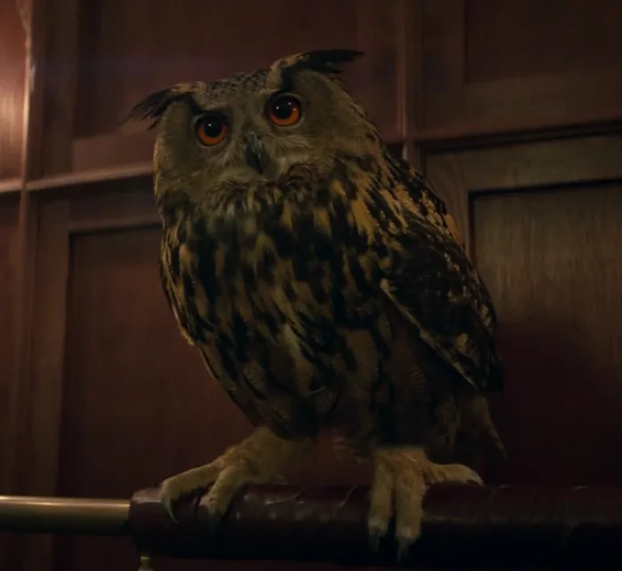 Hootie
