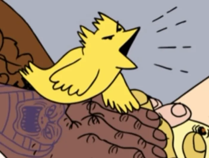 Bird