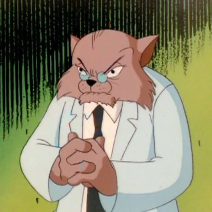 Katzmer