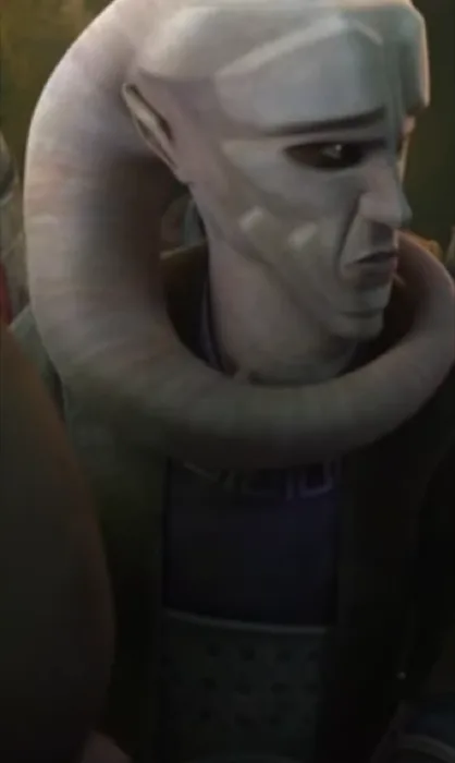 Bib Fortuna