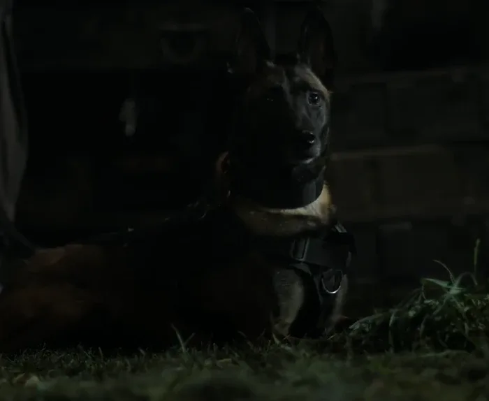 Bonnie