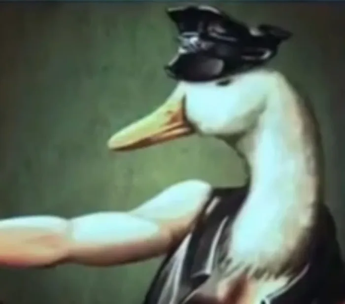 Ace Duck