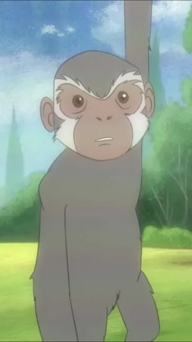 Cho Cho