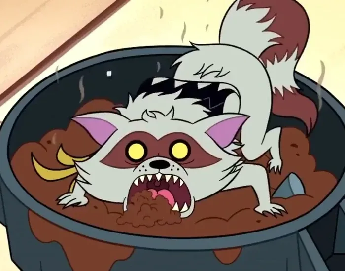 Bandit The Raccoon